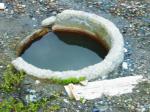 19_zona bistrita nasaud_figa.jpg
